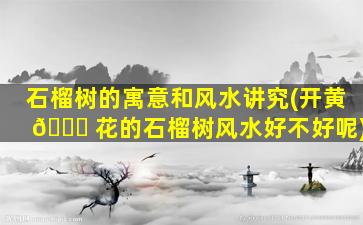 石榴树的寓意和风水讲究(开黄 🍁 花的石榴树风水好不好呢)